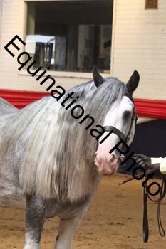 GRG-1098