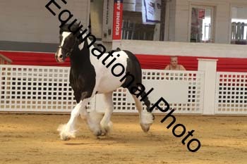 GRG-1155