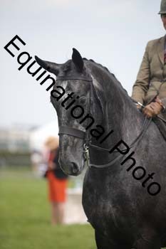 AAZ-1545
