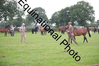 1_BBX-1790