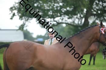 1_BBX-1791