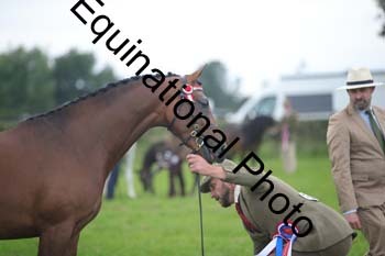 1_BBX-1794