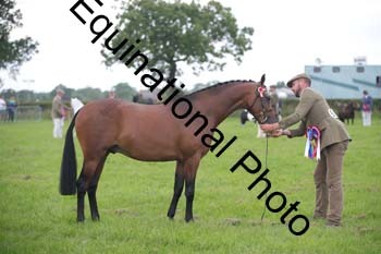 1_BBX-1796
