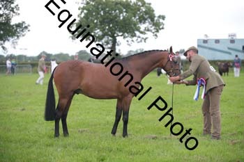 1_BBX-1797