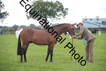 1_BBX-1798