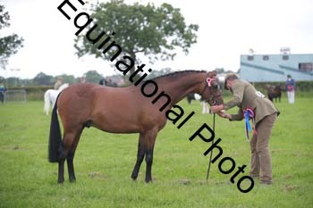 1_BBX-1799