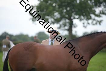 1_BBX-1801