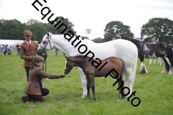 1_BBX-1823