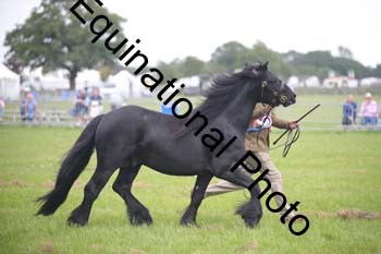 1_BBX-1831