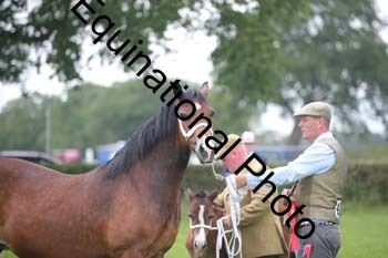 1_BBX-1832