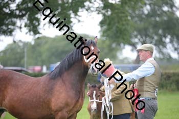 1_BBX-1833