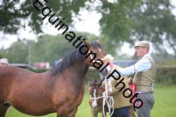 1_BBX-1834