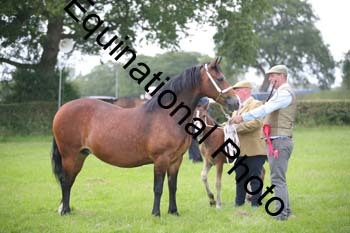 1_BBX-1835