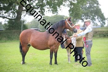 1_BBX-1836