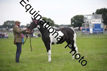 1_BBX-1837