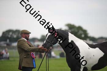 1_BBX-1839