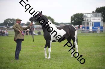 1_BBX-1841