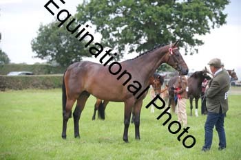 1_BBX-1852