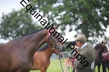 1_BBX-1853