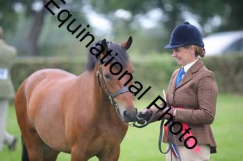 1_BBX-1855