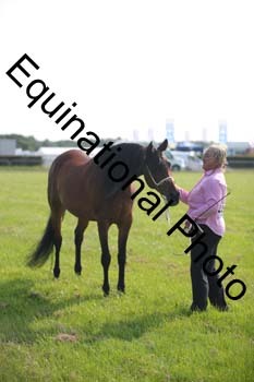 BBX-1014