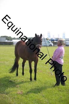 BBX-1015