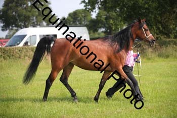 BBX-1030