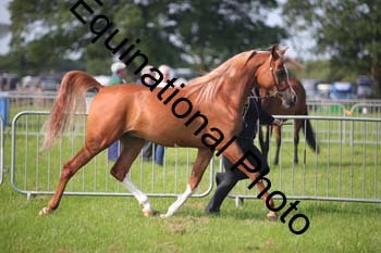 BBX-1044