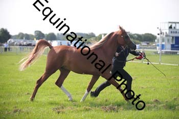BBX-1069