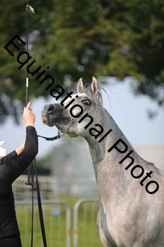 BBX-1094