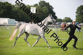 BBX-1095