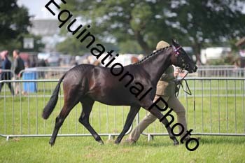 BBX-1139