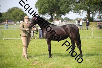 BBX-1144