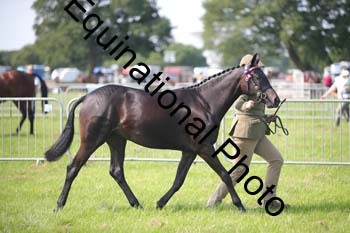 BBX-1149