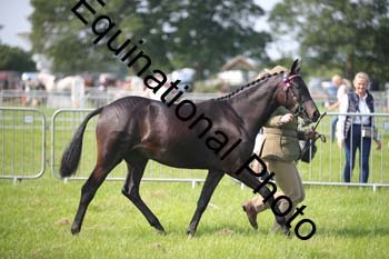 BBX-1150