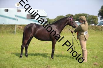 BBX-1157