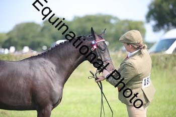 BBX-1158