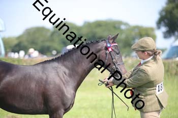 BBX-1160