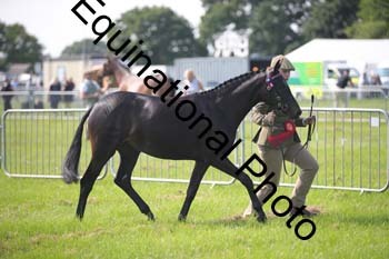 BBX-1161