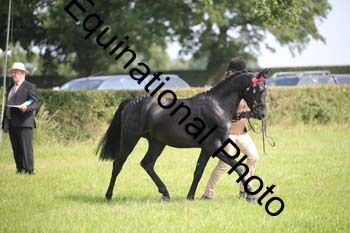 BBX-1176