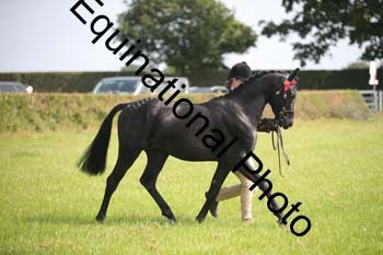 BBX-1178