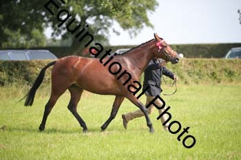 BBX-1183