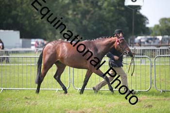 BBX-1189