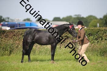 BBX-1192