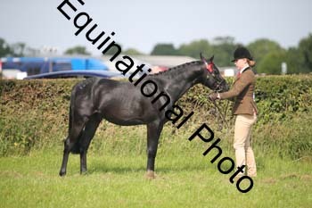 BBX-1194