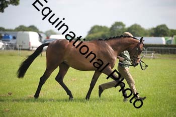 BBX-1196