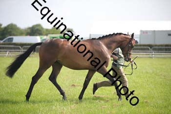 BBX-1197