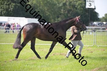 BBX-1206