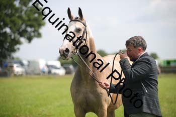 BBX-1211