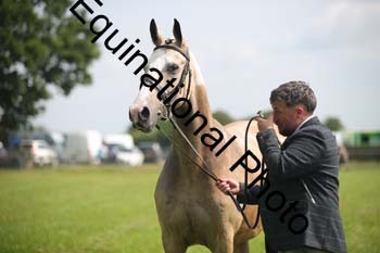 BBX-1212